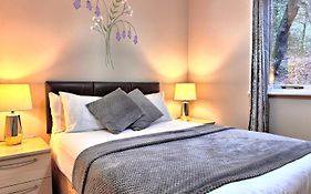 Bluebell 16-Hot Tub-Woodland Lodges-Pembrokeshire